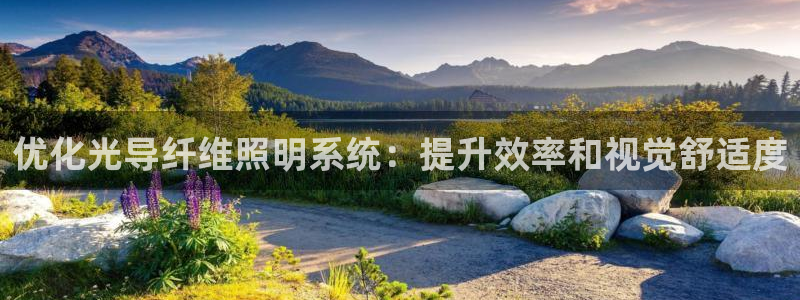 优化光导纤维照明系统：提升效率和视觉舒适度