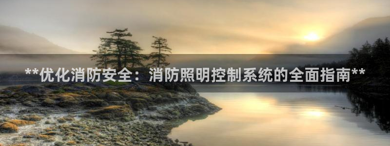 **优化消防安全：消防照明控制系统的全面指南**