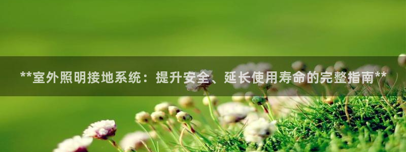 **室外照明接地系统:提升安全、延长使用寿命的完整指南**