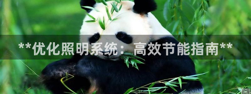 **优化照明系统：高效节能指南**