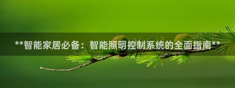 **智能家居必备：智能照明控制系统的全面指南**