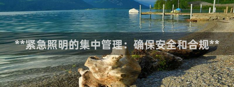 **紧急照明的集中管理：确保安全和合规**