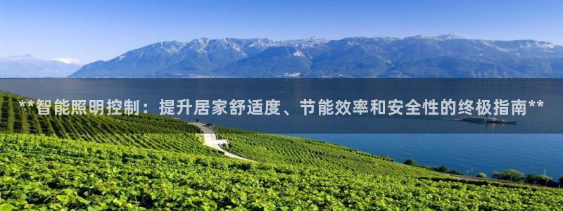 **智能照明控制：提升居家舒适度、节能效率和安全性的终极指南**