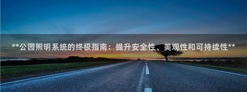 **公园照明系统的终极指南：提升安全性、美观性和可持续性**