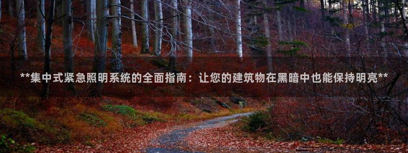 **集中式紧急照明系统的全面指南：让您的建筑物在黑暗中也能保持明亮**