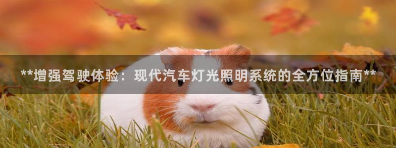 **增强驾驶体验：现代汽车灯光照明系统的全方位指南**
