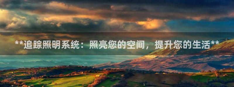 **追踪照明系统：照亮您的空间，提升您的生活**