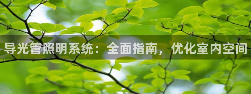 导光管照明系统：全面指南，优化室内空间