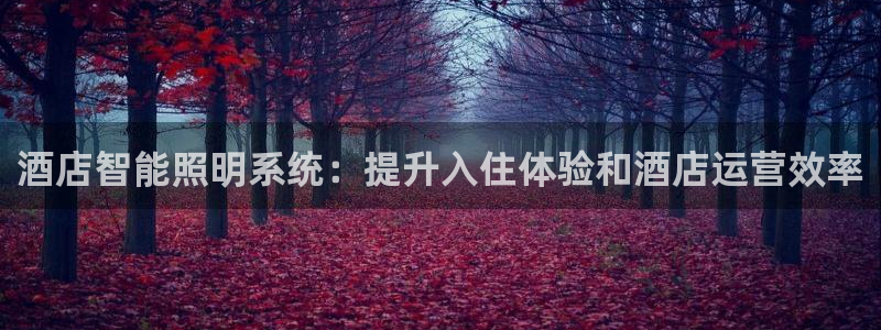 酒店智能照明系统：提升入住体验和酒店运营效率