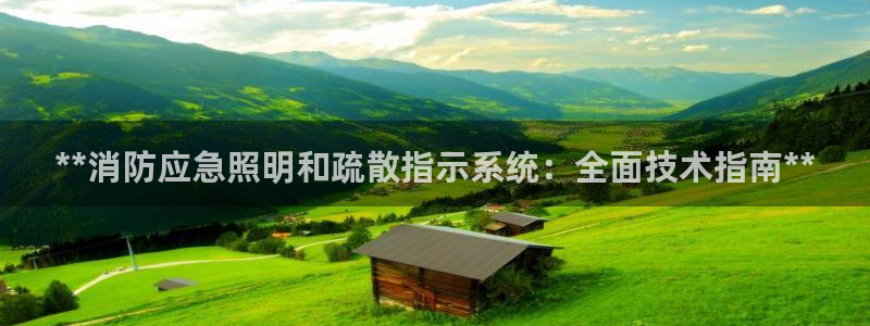 **消防应急照明和疏散指示系统：全面技术指南**