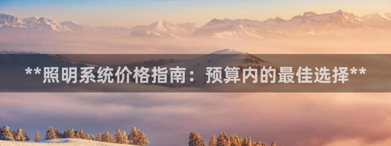 **照明系统价格指南：预算内的最佳选择**