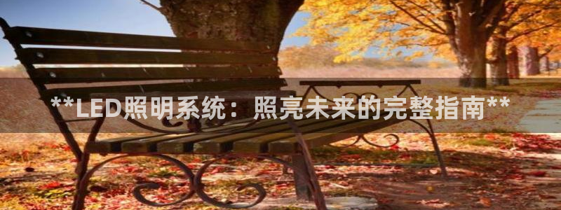 **LED照明系统：照亮未来的完整指南**