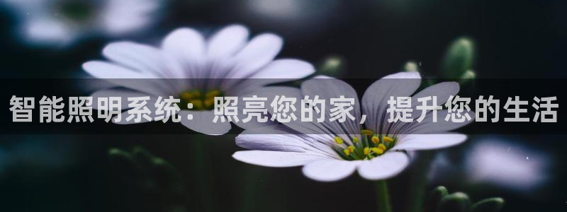 智能照明系统：照亮您的家，提升您的生活