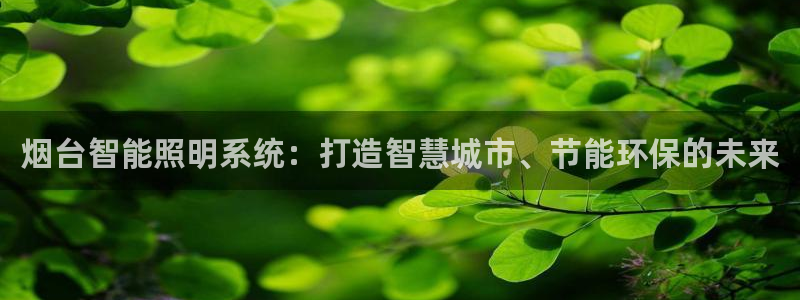 烟台智能照明系统：打造智慧城市、节能环保的未来