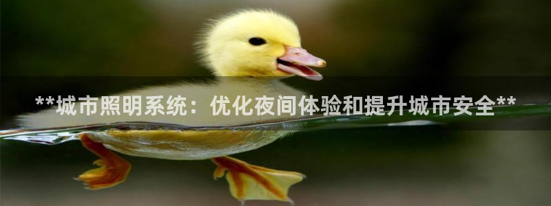 **城市照明系统：优化夜间体验和提升城市安全**