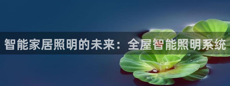 智能家居照明的未来：全屋智能照明系统