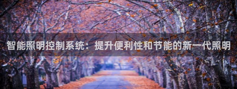 智能照明控制系统：提升便利性和节能的新一代照明