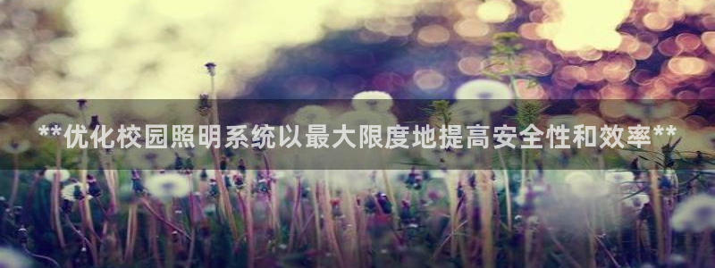 **优化校园照明系统以最大限度地提高安全性和效率**