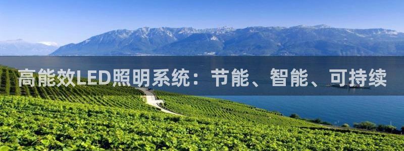 高能效LED照明系统：节能、智能、可持续