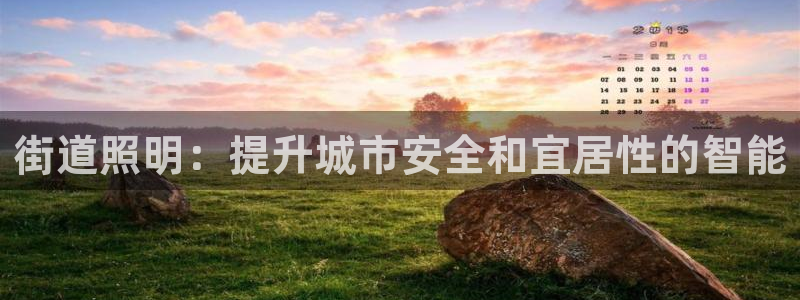 街道照明：提升城市安全和宜居性的智能