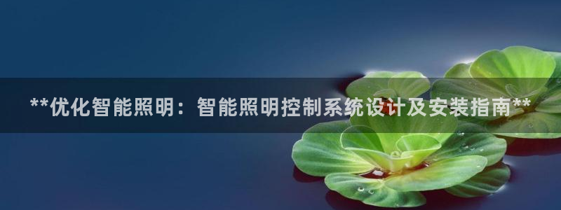 **优化智能照明：智能照明控制系统设计及安装指南**