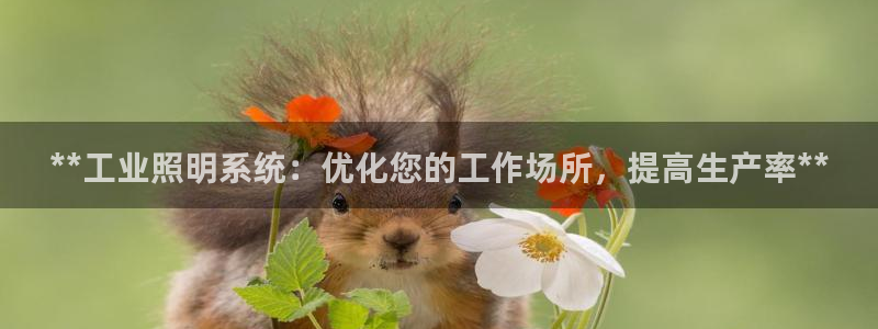 **工业照明系统：优化您的工作场所，提高生产率**