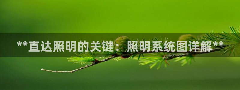 **直达照明的关键：照明系统图详解**