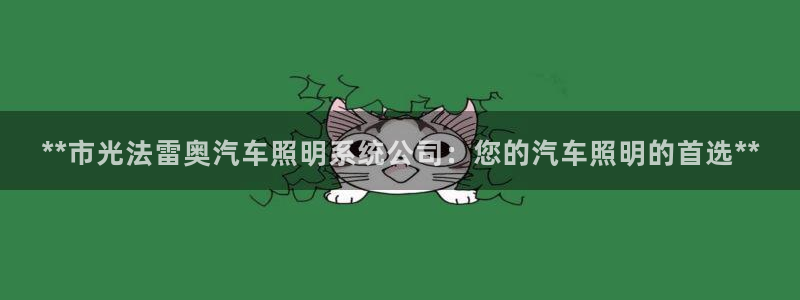 **市光法雷奥汽车照明系统公司：您的汽车照明的首选**