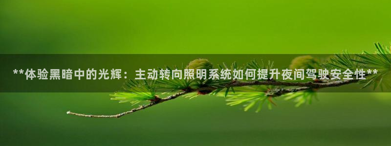 **体验黑暗中的光辉：主动转向照明系统如何提升夜间驾驶安全性**