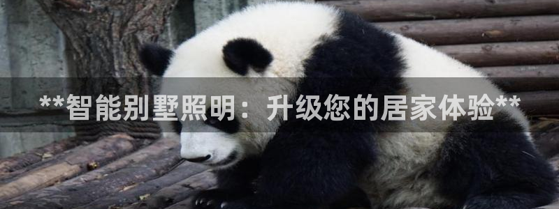 **智能别墅照明：升级您的居家体验**