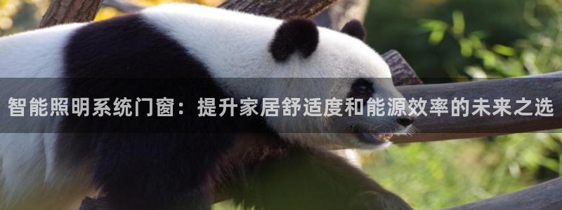 智能照明系统门窗：提升家居舒适度和能源效率的未来之选