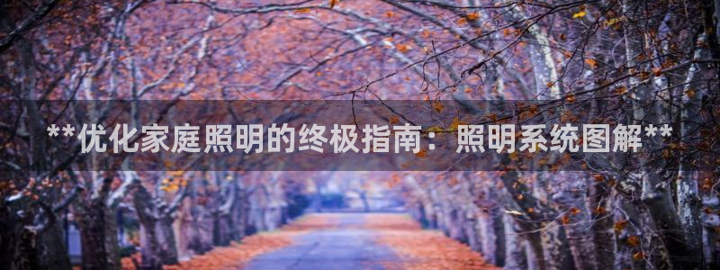 **优化家庭照明的终极指南：照明系统图解**