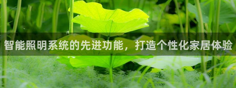 智能照明系统的先进功能，打造个性化家居体验