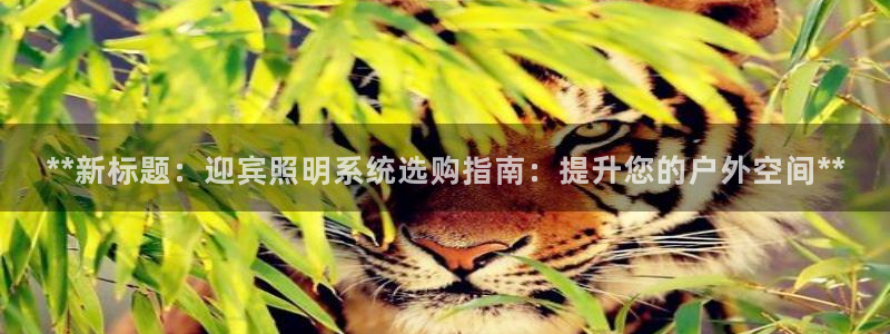 **新标题：迎宾照明系统选购指南：提升您