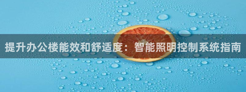 提升办公楼能效和舒适度:智能照明控制系统指南