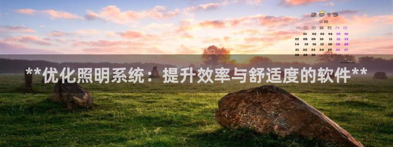 **优化照明系统：提升效率与舒适度的软件**