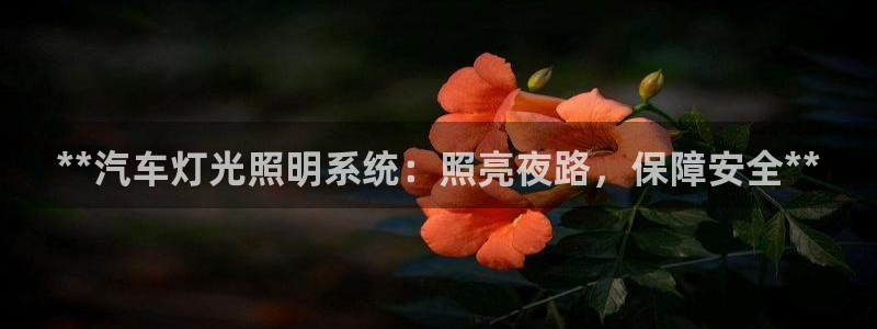 **汽车灯光照明系统：照亮夜路，保障安全**