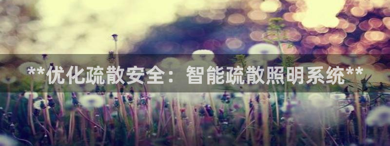 **优化疏散安全：智能疏散照明系统**