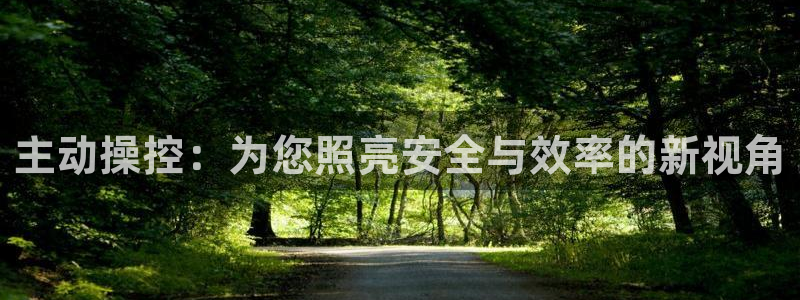 主动操控：为您照亮安全与效率的新视角