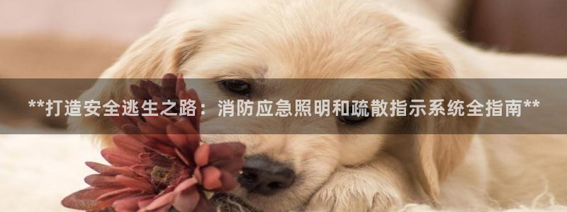 **打造安全逃生之路：消防应急照明和疏散