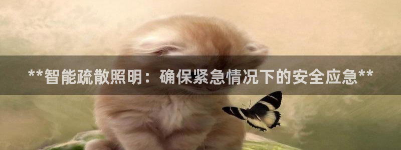 **智能疏散照明：确保紧急情况下的安全应