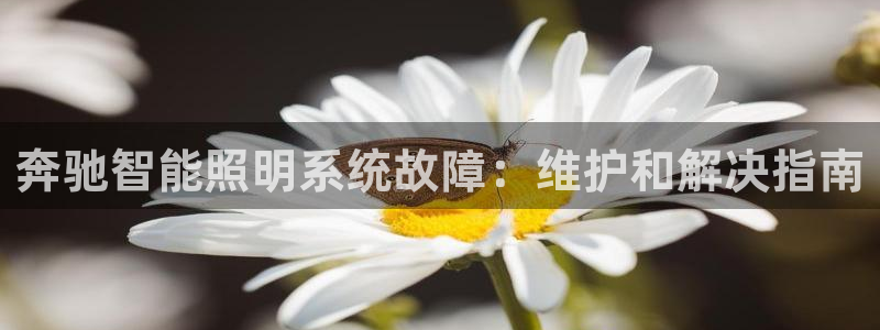 奔驰智能照明系统故障：维护和解决指南