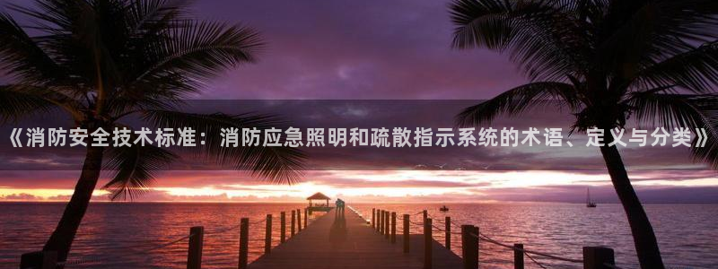 《消防安全技术标准：消防应急照明和疏散指