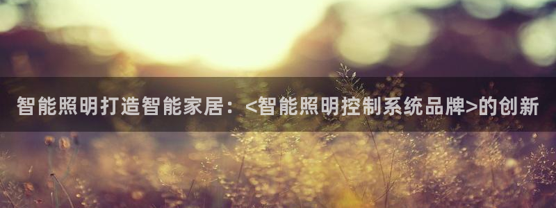 智能照明打造智能家居：<智能照明控制系统
