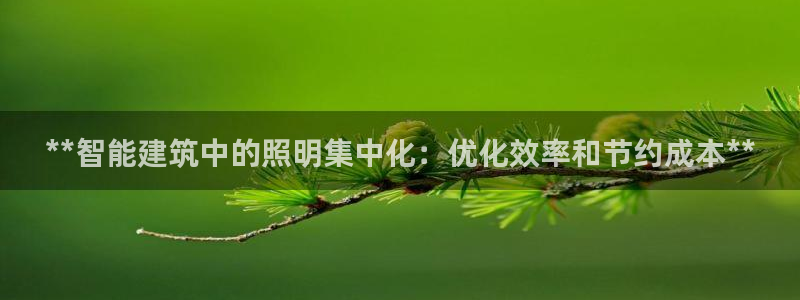 **智能建筑中的照明集中化：优化效率和节约成本**