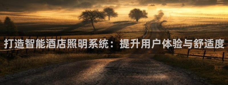打造智能酒店照明系统：提升用户体验与舒适