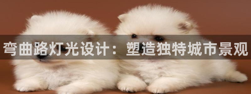 弯曲路灯光设计：塑造独特城市景观
