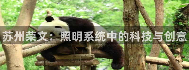 苏州荣文：照明系统中的科技与创意