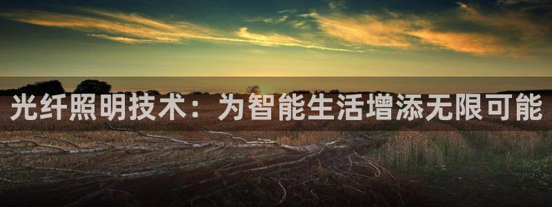 光纤照明技术：为智能生活增添无限可能