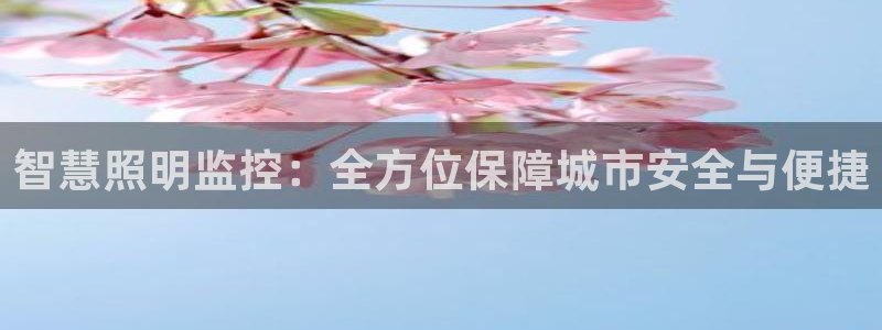 智慧照明监控：全方位保障城市安全与便捷